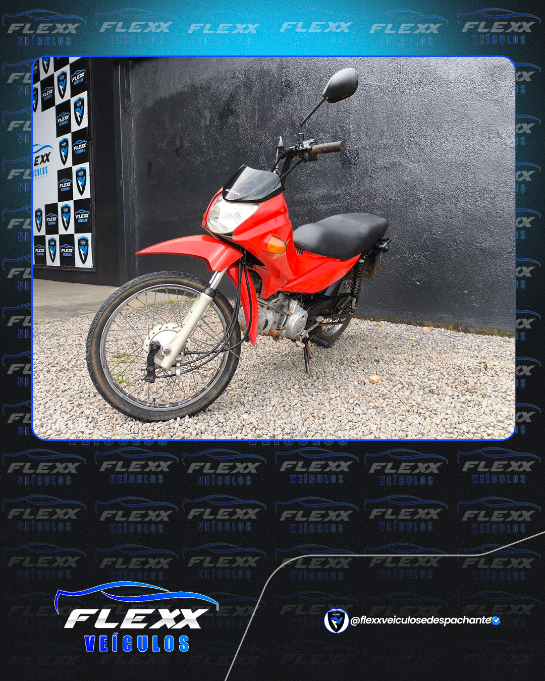 Foto 7